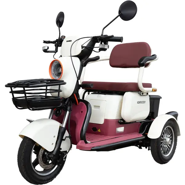 Samus Triciclu electric Samus Kentucky-3R1-10T1000-60V20-Beige-Burgundy, 1000W, Viteza Maxima 25 km/h, Acumulator 60(512) V/ 20 Ah, Tip baterie plumb acid, Autonomie 40-60 Km,Bej-Burgundy