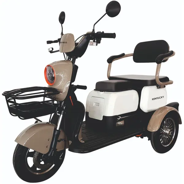 Samus Triciclu electric Samus Kentucky-3R1-10T1000-60V20-Brown-White, 1000W, Viteza Maxima 25 km/h, Acumulator 60(512) V/ 20 Ah, Tip baterie plumb acid, Autonomie 40-60 Km, Alb-Maro