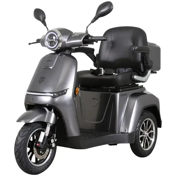 Samus Triciclu electric, tricicleta, Samus Arizona-3R1-10T1000-60V20 Silver, 10 inch, motor 1000 W, acumulator 60V 20Ah, viteza maxima 25 km/h, autonomie 50 km, sarcina maxima 105 kg, Argintiu