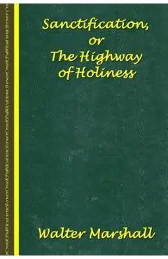 Sanctification; The Highway of Holiness - Andrew Murray