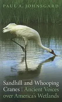 Sandhill and Whooping Cranes: Ancient Voices Over America's Wetlands, Paperback/Paul A. Johnsgard