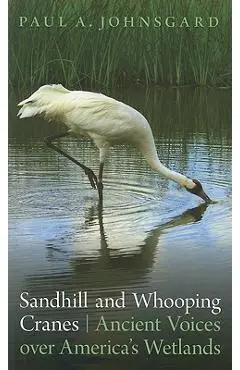 Sandhill and Whooping Cranes: Ancient Voices Over America's Wetlands - Paul A. Johnsgard