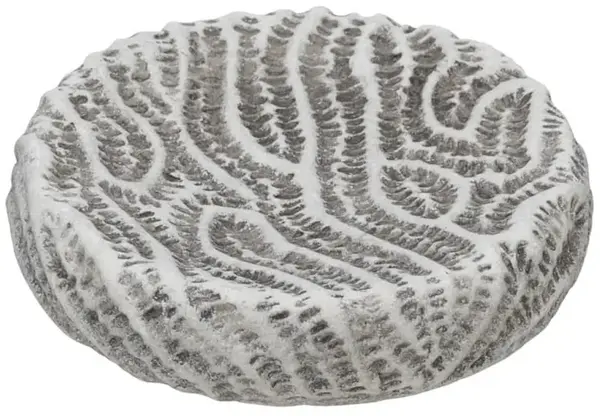 Săpunieră Wenko - Salemi, Ø10.5 x 2.5 cm, gri
