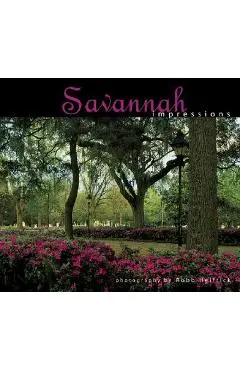 Savannah Impressions - Robb Helfrick