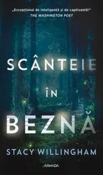 Scanteie in bezna/Stacy Willingham
