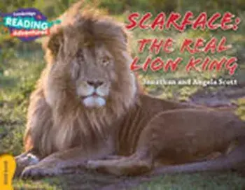 Scarface: The Real Lion King Gold Band, Paperback/Angela Scott
