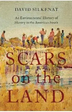 Scars on the Land: An Environmental History of Slavery in the American South - David Silkenat