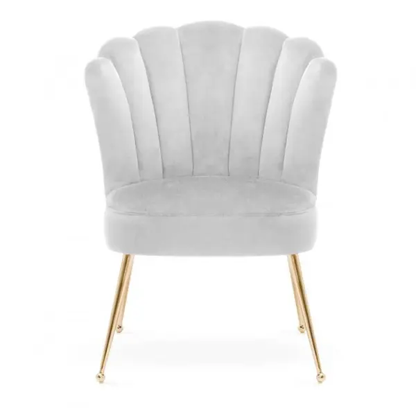 Scaun Bolonia velvet gri deschis/gold - H90