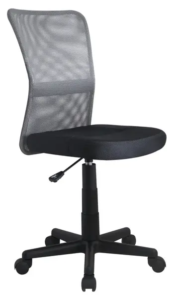Scaun de birou copii Dingo negru gri