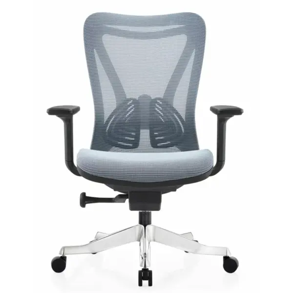 Scaun de birou ergonomic Viano ,dimensiuni 720*690*1190-1270 mm