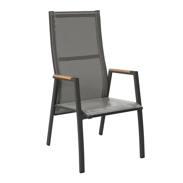 Scaun De Grădină in lemn, metal, textil antracit, gri închis