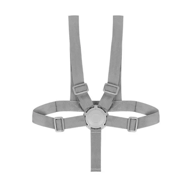 Scaun de masa Lionelo Dalia Gri 2 in 1 transformabil, cu 2 suporturi pentru picioare, tavita detasabila, sustine 60 kg, 6 luni+, conform cu EN14988
