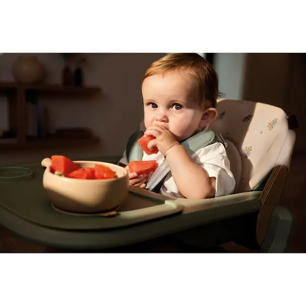 Scaun de masa multifunctional Jane Noah Iris, de la 6 luni la adult, din lemn fag, greutate maxima 100 kg