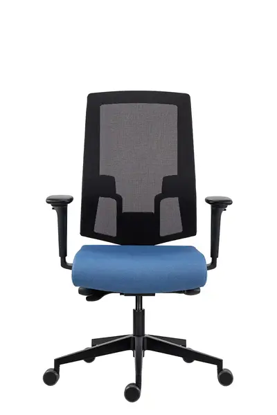 Scaun ergonomic Lapel Pro cu suport lombar si brate 4D - Premium Romania