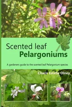Scented Leaf Pelargoniums: A Gardeners Guide to the Scented Leaf Pelargonium Species, Paperback/Charis Estelle Olney