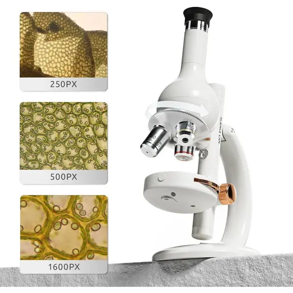 Science Can Mini laboratorul meu cu microscop, varsta 8+, Alb
