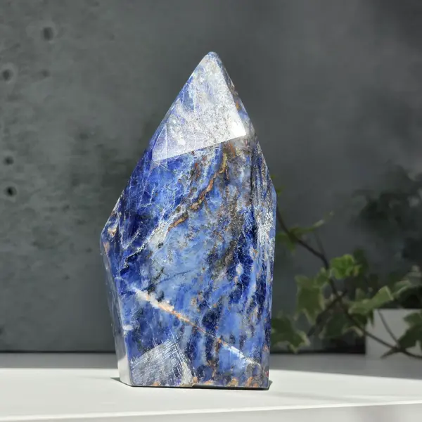 Sculptura sodalit | Model 1