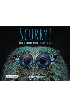 Scurry! the Truth about Spiders - Annette Whipple
