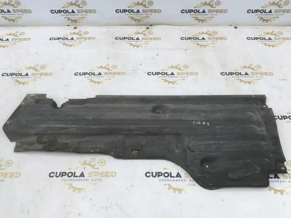 Scut lateral / caroserie dreapta a2196801906 Mercedes CLS (2004-2010) [C219] w219