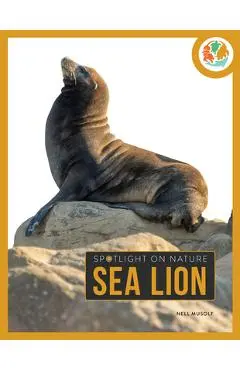 Sea Lion - Nell Musolf