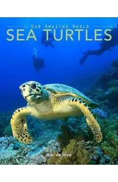 Sea Turtles: Amazing Pictures & Fun Facts on Animals in Nature - Kay De Silva