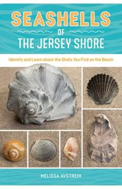 Seashells of the Jersey Shore: Identify and Learn about the Shells You Find on the Beach - Melissa Avstreih