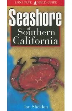 Seashore of Southern California - Ian Sheldon