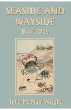 Seaside and Wayside, Book One (Yesterday's Classics) - Julia Mcnair Wright