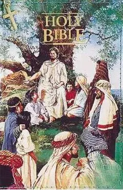 Seaside Bible-KJV-Child Zipper Closure - Thomas Nelson
