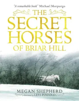Secret Horses of Briar Hill, Paperback/Megan Shepherd