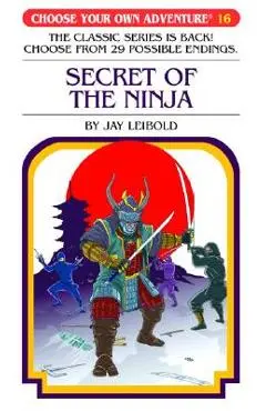 Secret of the Ninja - Jay Leibold