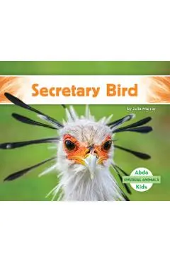 Secretary Bird - Julie Murray