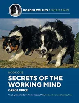 Secrets Of The Working Mind, Paperback/Carol Price