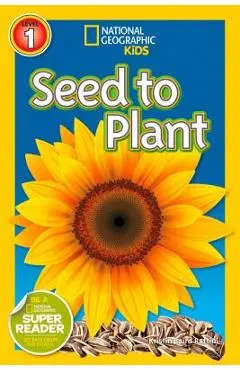 Seed to Plant - Kristin Baird Rattini