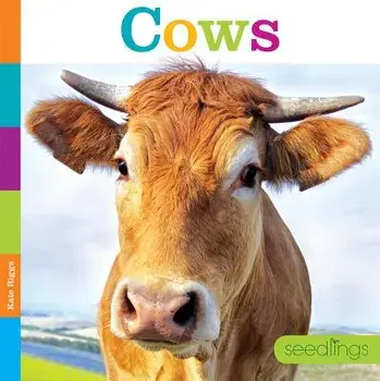 Seedlings: Cows, Paperback/Kate Riggs