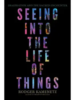 Seeing into the Life of Things. Imagination and the Sacred Encounter, Paperback/Rodger Kamenetz