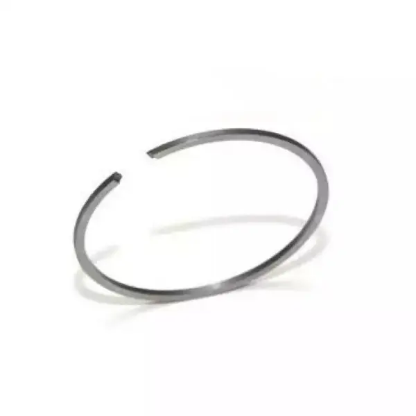 Segment Drujba 47mm x 1.5mm CABER ITALIA