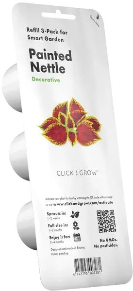 Semințe Click and Grow - Painted Nettle, 3 rezerve