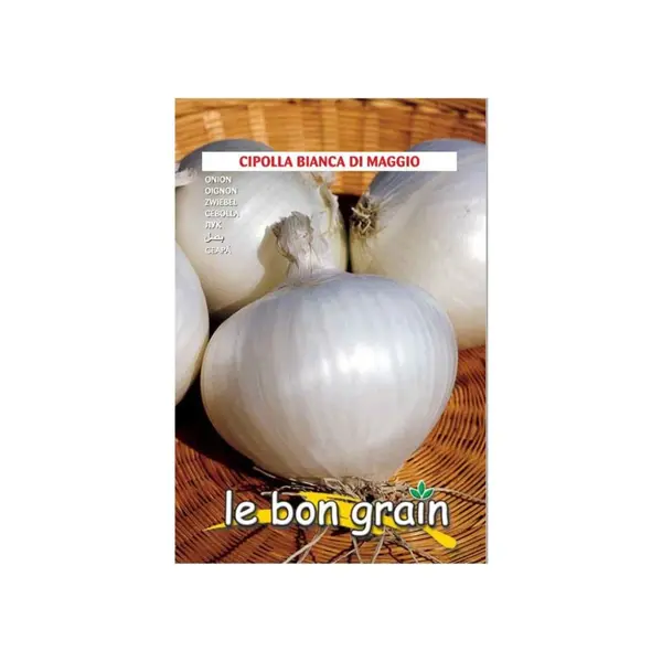 Seminte de Ceapa Apa, Bianca Di Maggio, 100 g, Raci Sementi