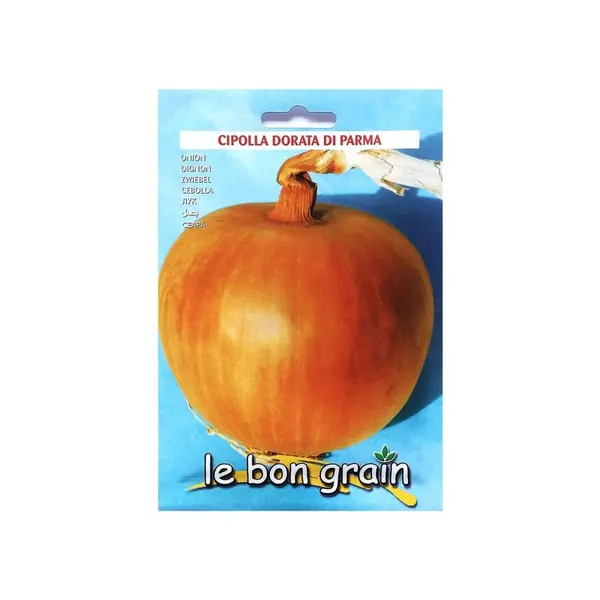 Seminte de Ceapa Aurie, Dorata di Bologna, 100 g, Raci Sementi