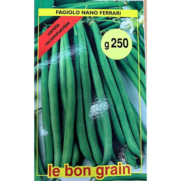 Seminte fasole verde Ferrari 250 gr, Le Bon Grain - Default Title