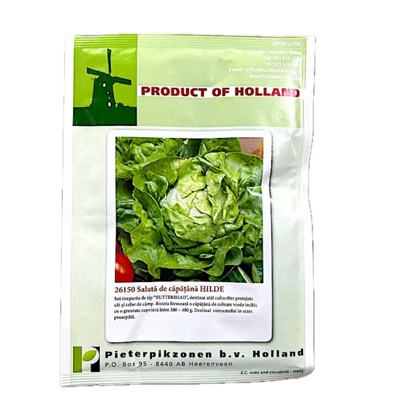 Seminte salata de capatana Hilde 10 gr, Holland - Default Title