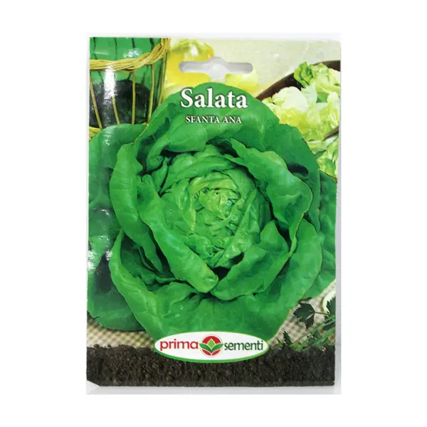 Seminte salata SF. Ana - Default Title