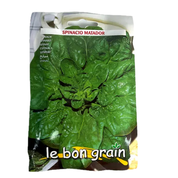 Seminte spanac Matador 30 gr, Le Bon Grain - Default Title