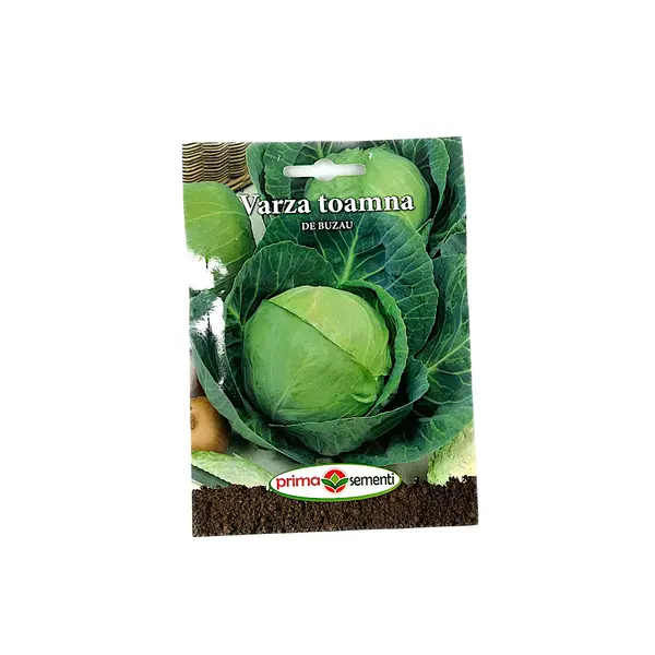 Seminte varza de toamna de Buzau, Prima Sementi - Default Title