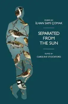 Separated from the Sun, Paperback/Ilhan Comak
