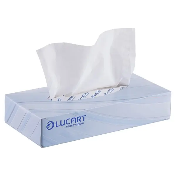 Servetele Faciale Biodegradabile Compostabile de Hartie Albe, Cutie, 2 Straturi, 100 Bucati, Lucart