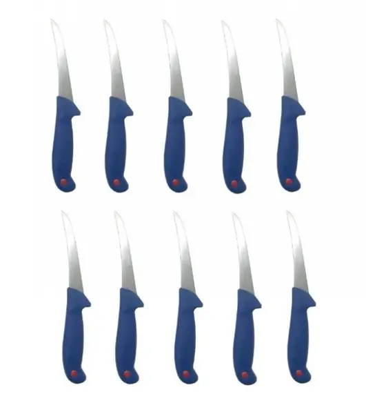 Set 10 Cutite Profesionale pentru Dezosat