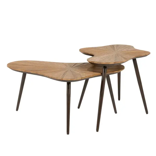Set 2 masute de cafea FORSA 78x57x35/76x49x43 CM - Lemn