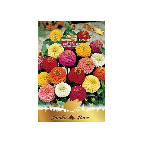 Set 3 x Seminte de Carciumarese, Zinnia Nana Pampon, Multicolor, 3 g